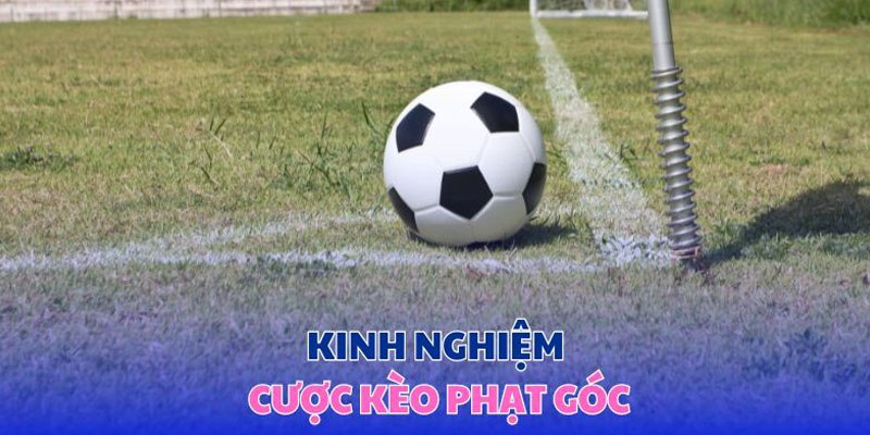 Chiến thuật cược Corners đến từ chuyên gia nổi tiếng